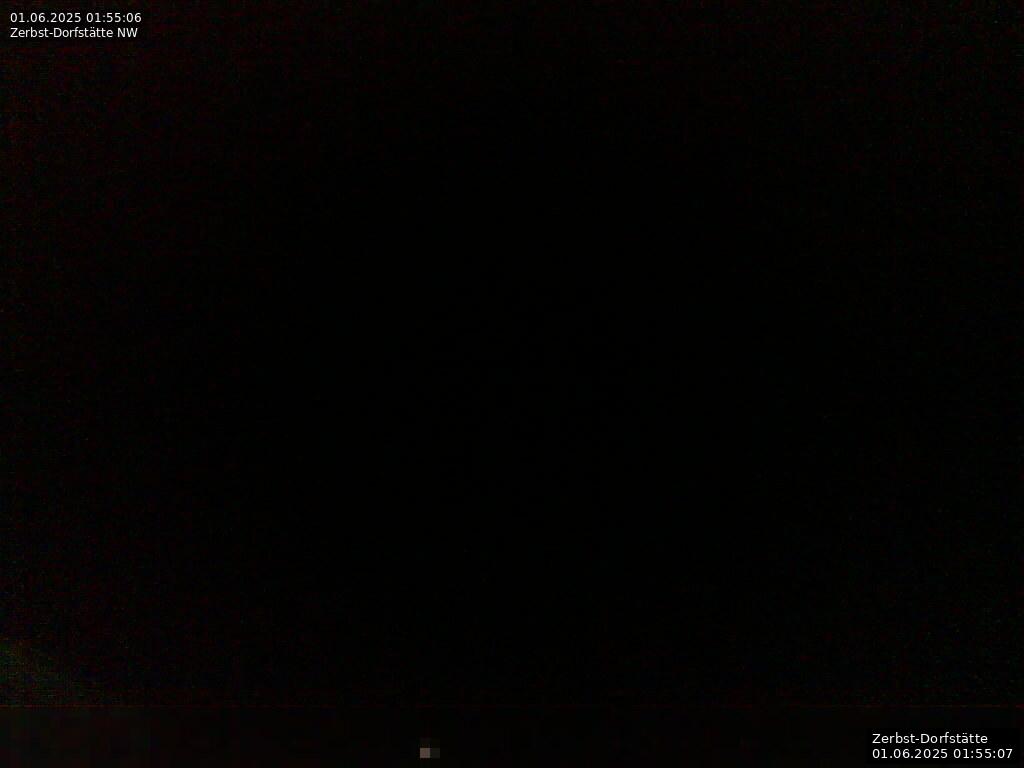 Webcam Bild