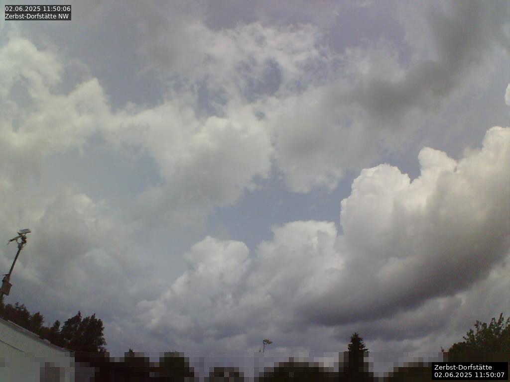 Webcam Bild