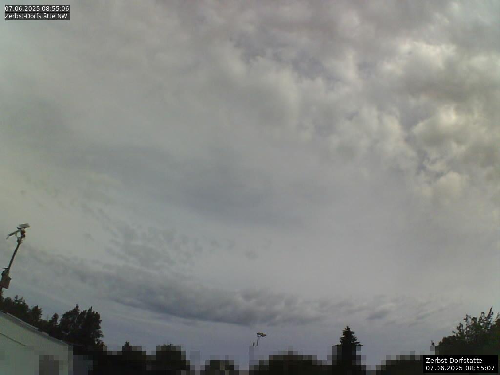 Webcam Bild