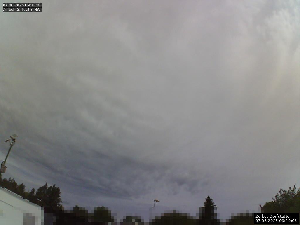 Webcam Bild
