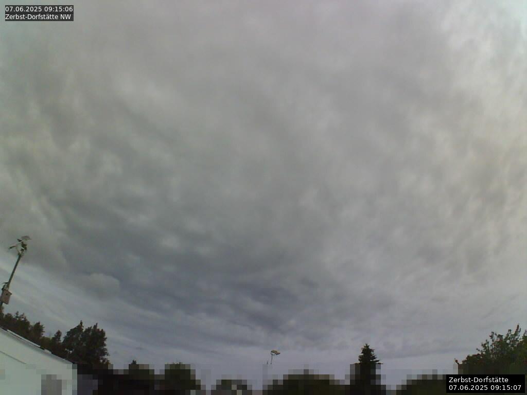 Webcam Bild