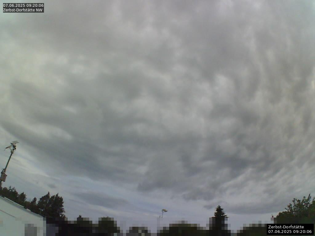 Webcam Bild