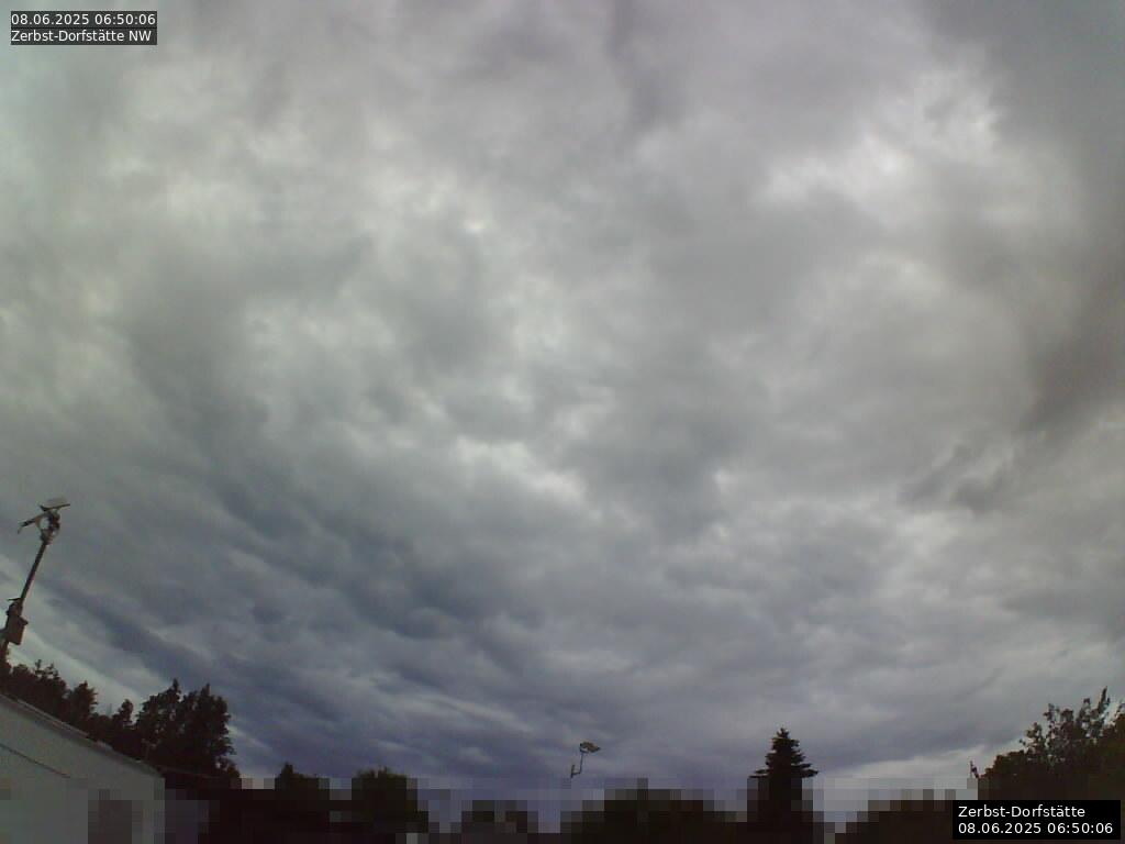 Webcam Bild