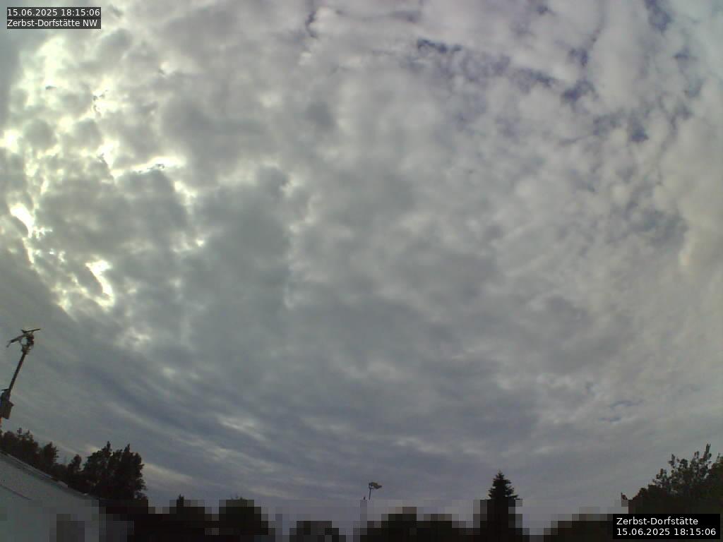 Webcam Bild