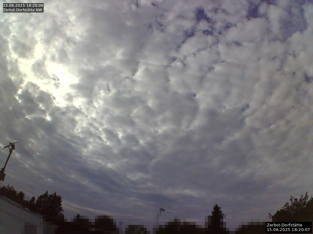 Webcam Bild