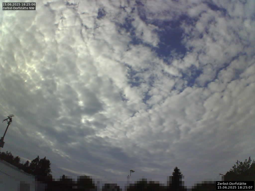 Webcam Bild