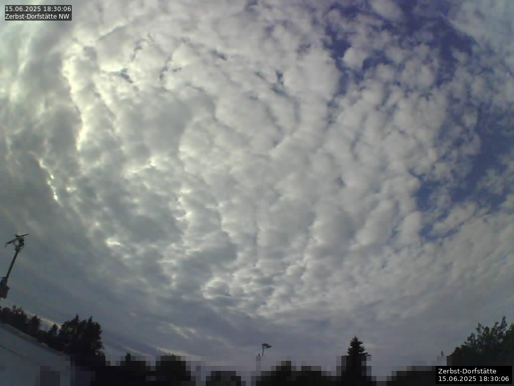 Webcam Bild