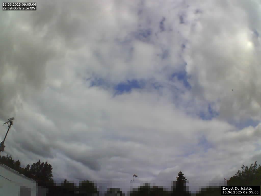 Webcam Bild