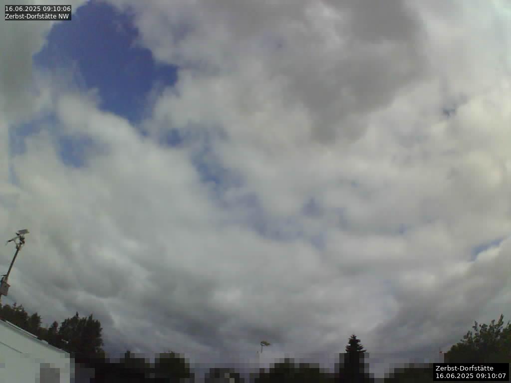 Webcam Bild