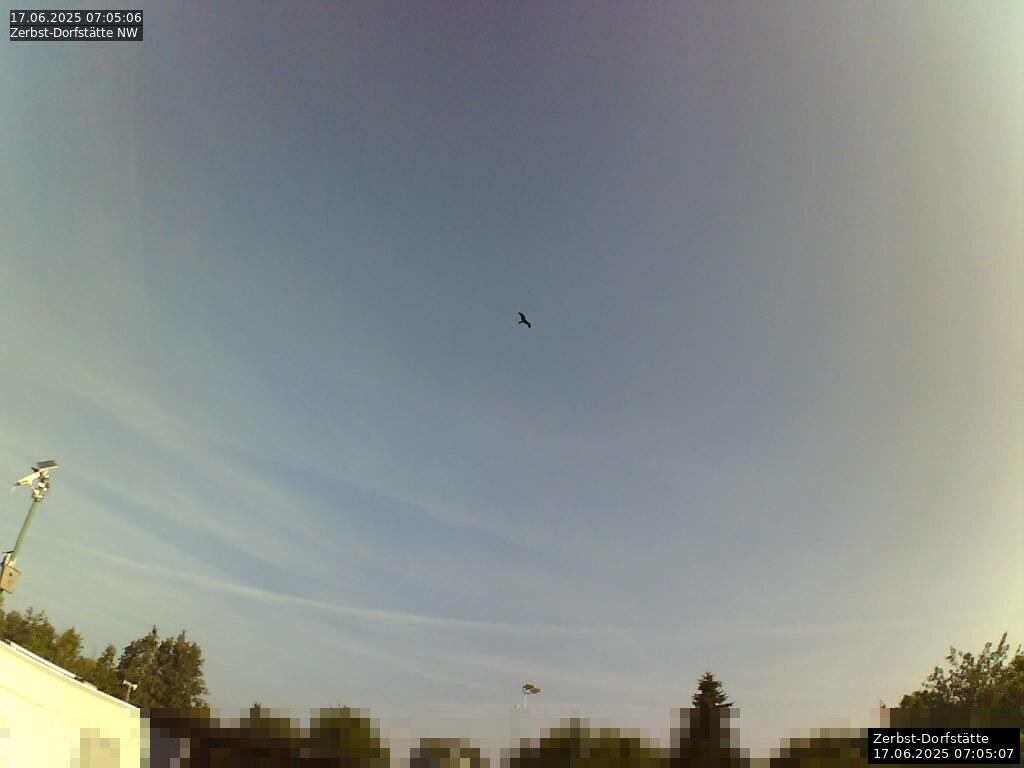 Webcam Bild